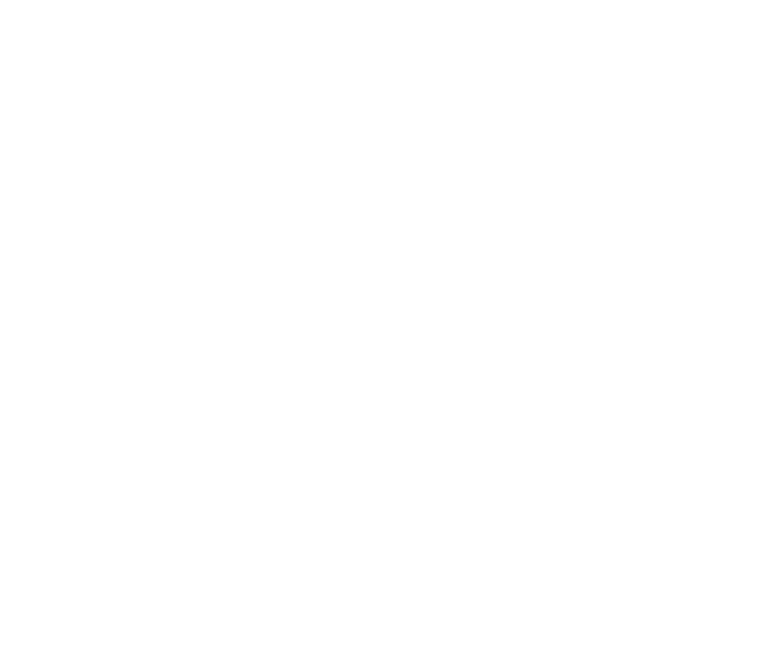 ALLEON WORKS
